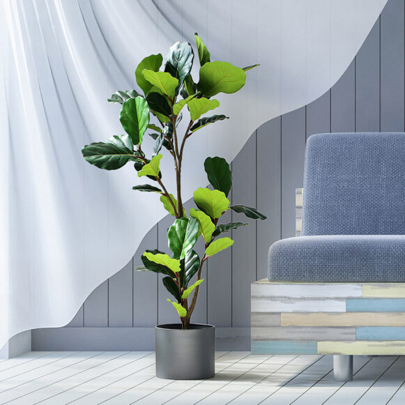 Cây bàng singapore giả - Cung cấp cây giả trang trí rẻ, bền, đẹp | Havico