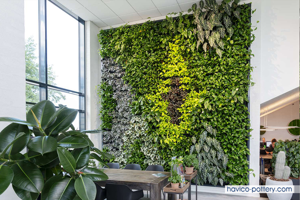 Lợi ích và cách thi công vườn tường cây xanh đẹp | Havico