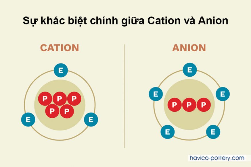 Sự khác biệt chính giữa Cation và Anion