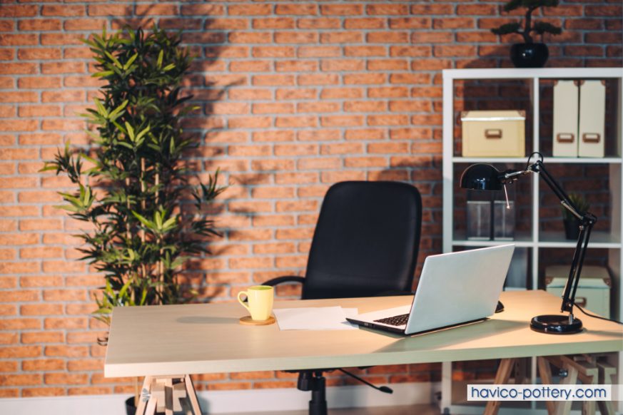 Tiêu chí lựa chọn cây để văn phòng phù hợp