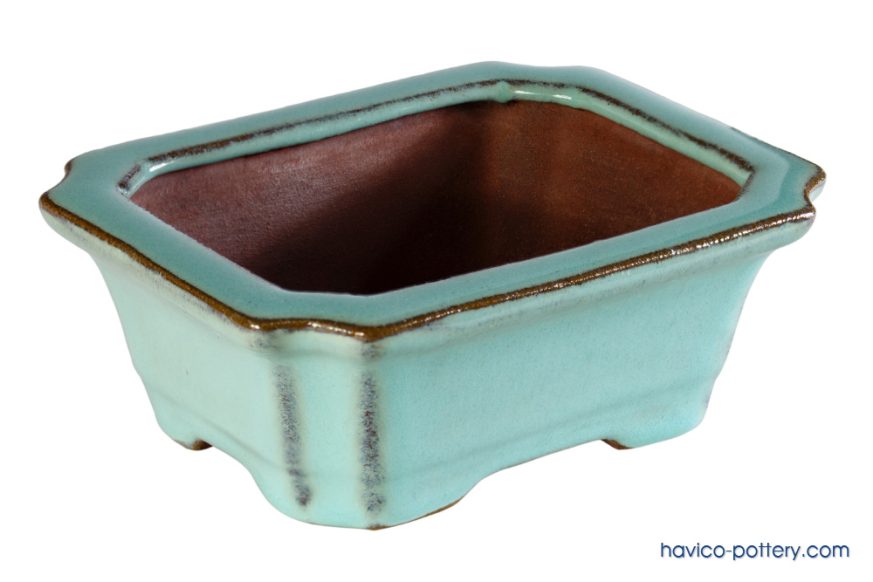 Chậu gốm tráng men xanh mini, phù hợp cho những ai yêu thích tròng bonsai để bàn làm việc.