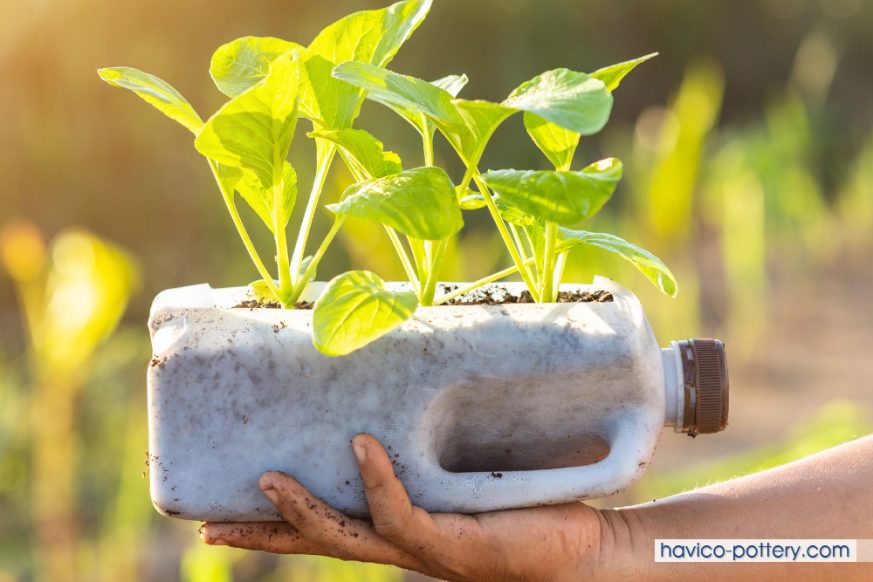 Dùng nhựa làm chậu trồng cây có gây hại cho cây và người không?