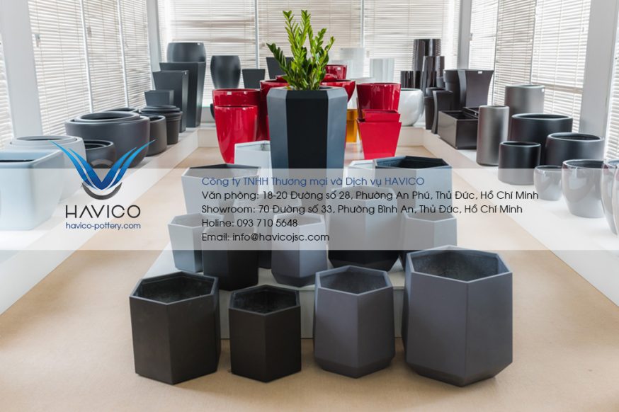 Havico - Nơi bán chậu cây đẹp, chất lượng và uy tín