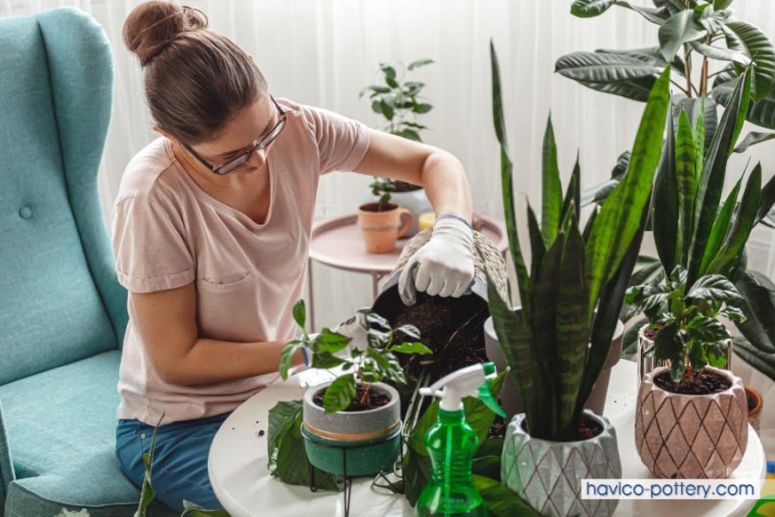 Tại sao chậu cây handmade lại được ưa chuộng?