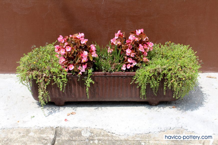 Chậu nhựa giả gỗ trồng cây ban công trẻ trung, độc đáo