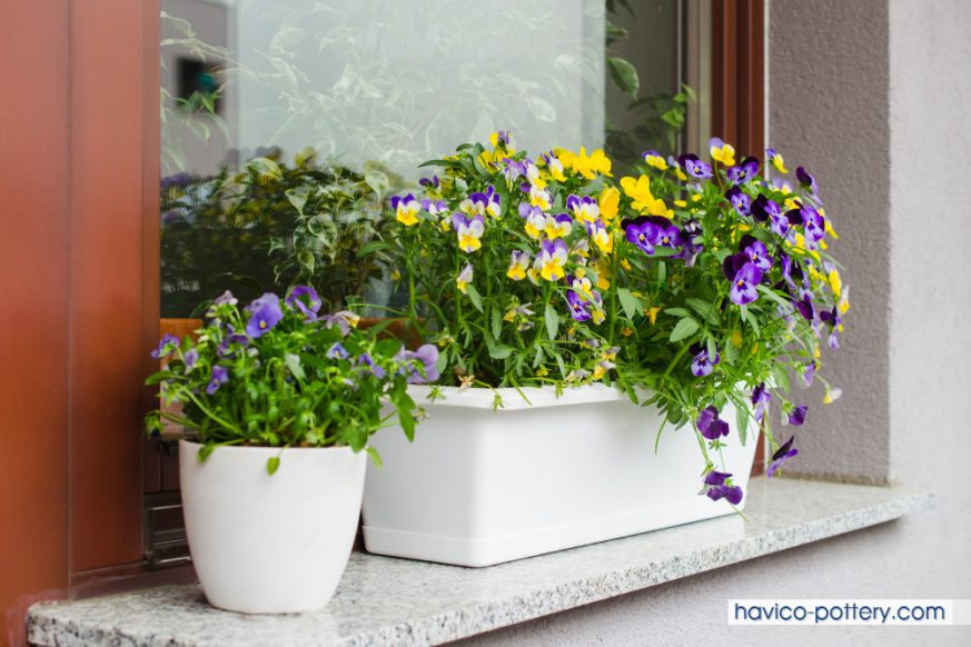 Chậu nhựa dài trồng cây treo ban công