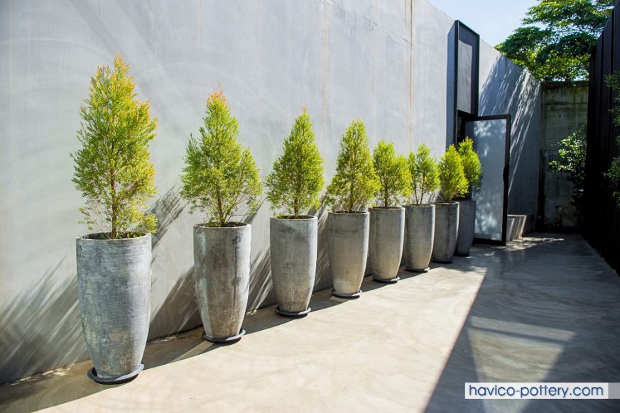 Decor chậu cây ngoài sân vườn