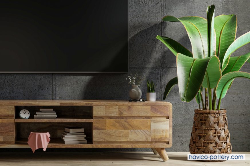 Mẫu chậu cây decor chất liệu dây cói cỡ lớn với thiết kế mộc mạc, màu sắc hài hòa mang đến cảm giác hòa hợp với thiên nhiên