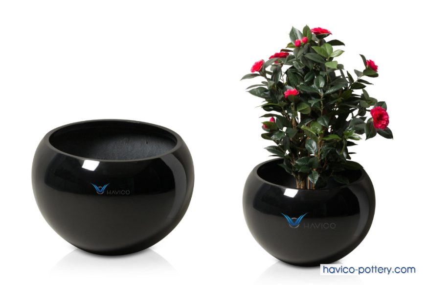 Địa chỉ bán chậu cây decor đẹp chất lượng, giá tốt